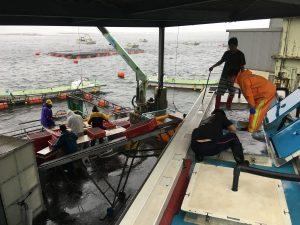 コロナ危機が襲った活魚運搬 ありえない世界 ニュースの深層 南海放送解説室